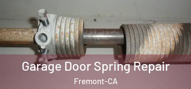  Garage Door Spring Repair Fremont-CA