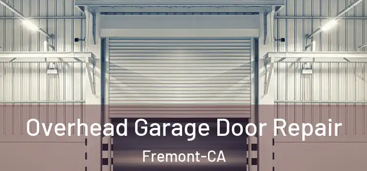 Overhead Garage Door Repair Fremont-CA